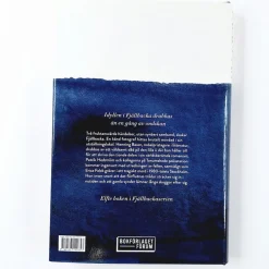 Camilla Läckberg: Gökungen