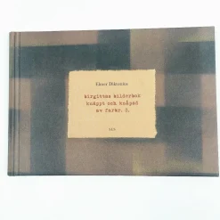 Elmer Diktonius: Birgittas bilderbok