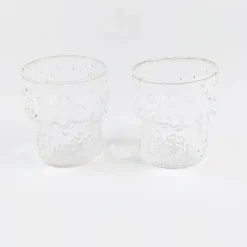 Iittala Paadar snapsilasi 2kpl