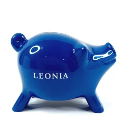 Leonia säästöpossu