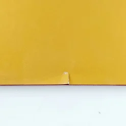 Picasso