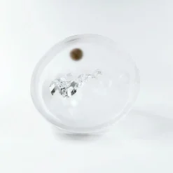 Royal Crystal Rock kissa ja pennut kristallifiguuri