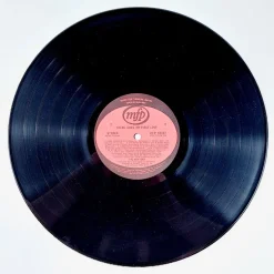 The Drifters: There Goes My First Love LP